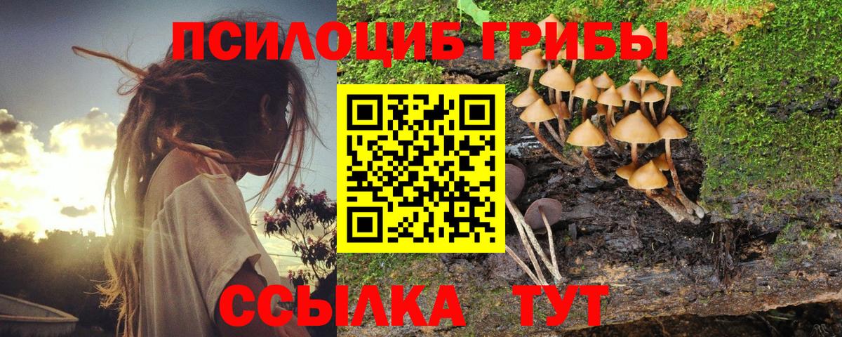 Псилоцибиновые грибы мухоморы Зима
