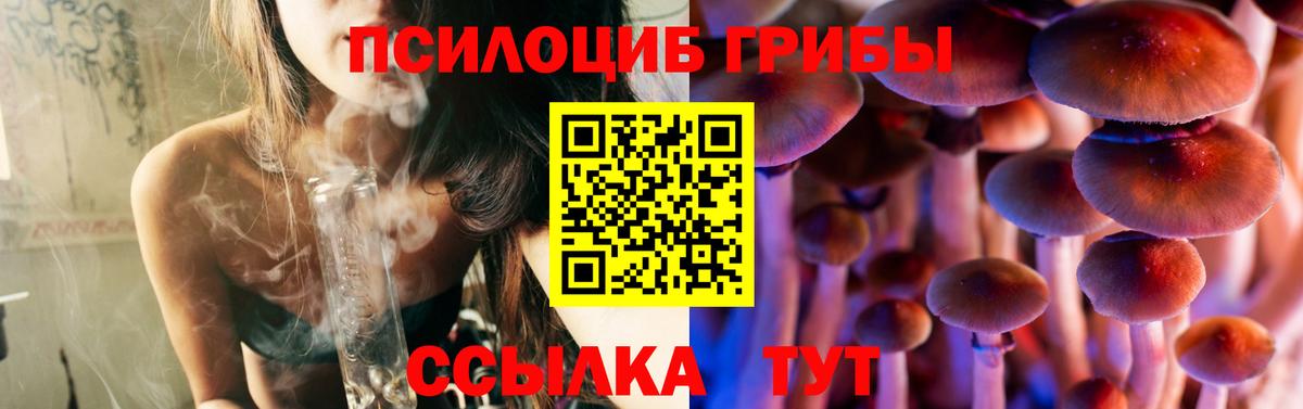 Псилоцибиновые грибы MAGIC MUSHROOMS  Галлюциногенные грибы GOLDEN TEACHER  Зима  Вход с VPN 